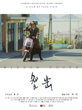 《智齿》