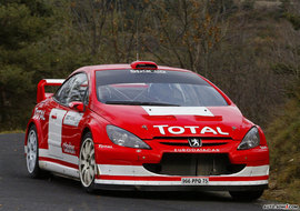   2004款标致307 WRC