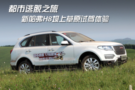   2017款哈弗H8 2.0T 汽油四驱智享型