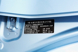   2022款欧拉黑猫 301km 萌宠版