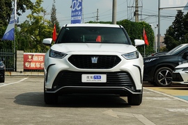   2021款丰田皇冠陆放 2.5L HEV两驱精英版