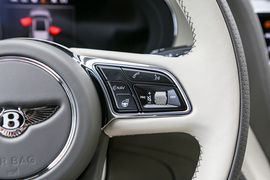   2022款宾利添越 4.0T V8 长轴距首发限量版