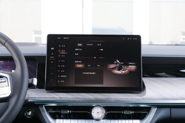   2022款坦克500 3.0T 商务版 登峰型 5座
