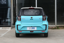   2022款思皓E10X 花仙子款 向日葵