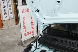   2022款雷丁芒果 220经典版