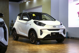 2023款奇瑞小蚂蚁301km真爱Plus 4座