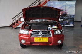   2010款野马汽车F99