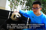 最FUN工作 探访熊猫之旅