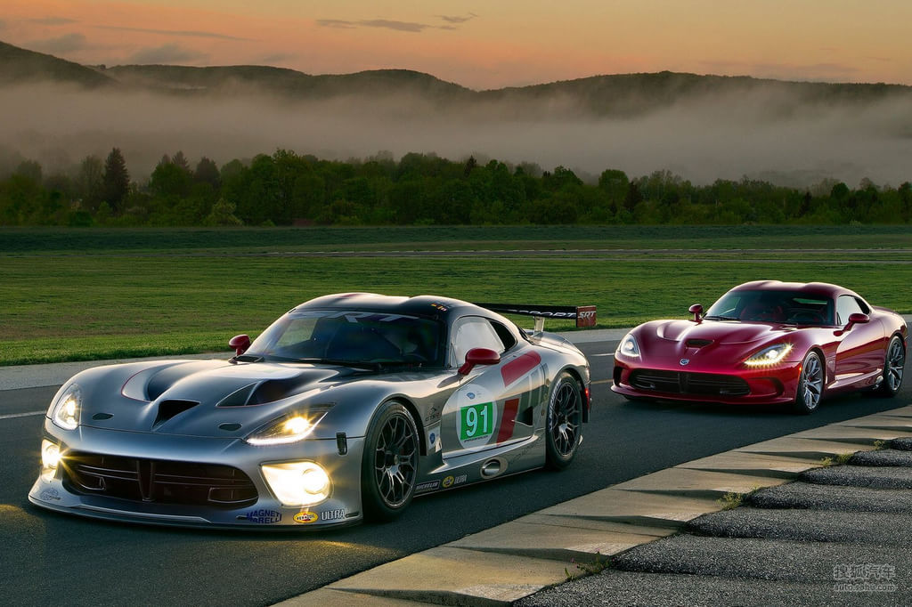 新道奇蝰蛇官方图片