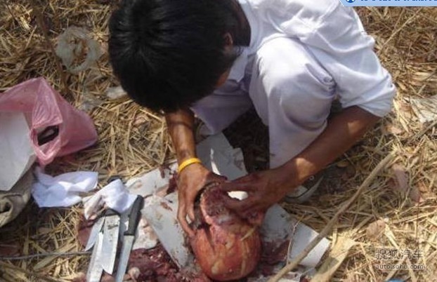 泰国食人宴