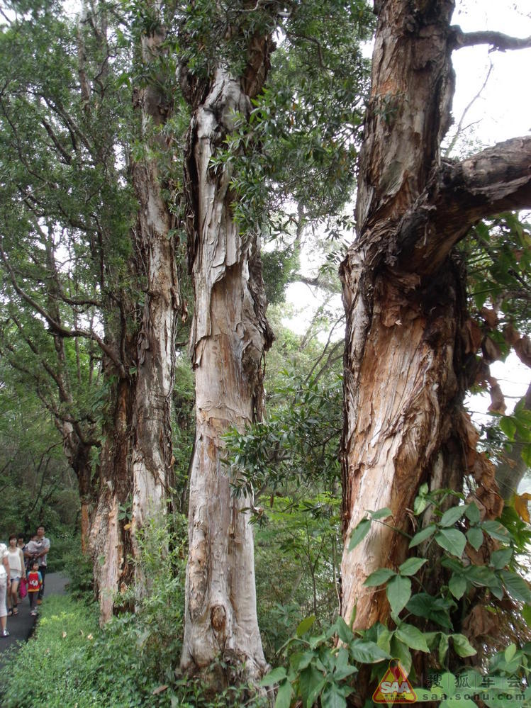 一个人的游走 一路拾遗(二)-雪中青禾-搜狐博客